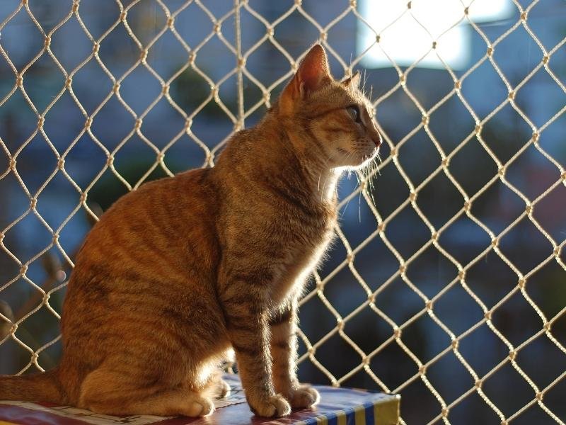 Redes de segurança para crianças em São José dos Campos