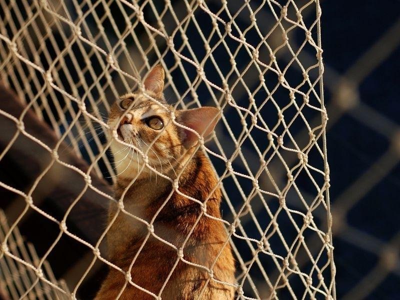 Rede de proteção de alta resistência em São José dos Campos