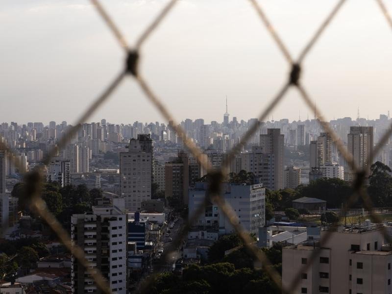 Proteja animais com rede residencial em São José dos Campos