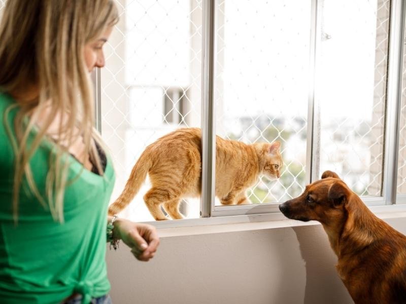 Telas de proteção pra Janela em São José dos Campos