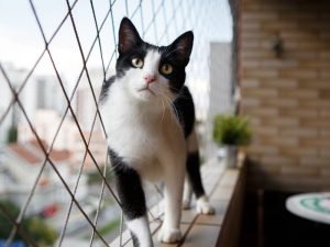 Redes de segurança para condomínios em São José dos Campos